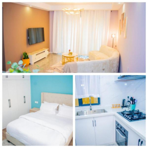 Modern luxury one bedroom furnished apartment in kilimani